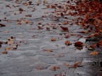 Autunno bagnato Autunno bagnato