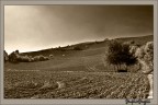 monte gesso monte gesso