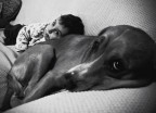 Sweet pillow Sweet pillow