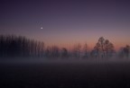 Colori nella nebbia Colori nella nebbia