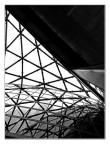 triangolature triangolature
