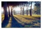 pinhole trial #2 pinhole trial #2