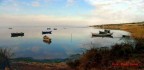 Laguna Laguna
