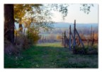pinhole trial #3 pinhole trial #3