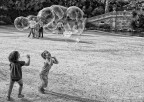 ...Bubbles... ...Bubbles...