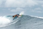 surf surf
