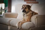 L'attesa L'attesa