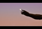 touch the moon touch the moon