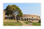 Colosseo Colosseo
