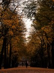 Autumn in Den Haag Autumn in Den Haag