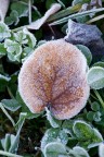 brrr...che freddo brrr...che freddo