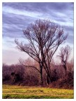 natura in letargo natura in letargo