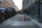 Barbone sulle strade di Parigi