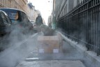 Barbone sulle strade di Parigi