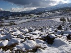 prima neve prima neve