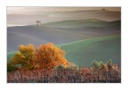 Autumn in Tuscany Autumn in Tuscany