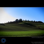Le Marche Le Marche