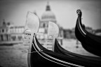 Venezia classica Venezia classica