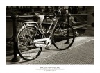 Bicicletta nel Porticciolo Bicicletta nel Porticciolo