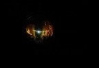 Artificial Moon Artificial Moon