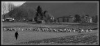 campagna campagna