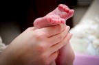 La vita fra le mani La vita fra le mani