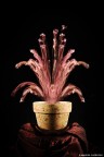 fiori? fiori?