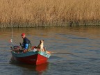 fido compagno di pesca