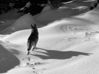 Nel silenzio Nel silenzio