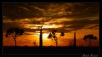 Il tramonto... Il tramonto...