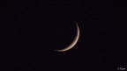 Moon Moon