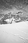 Alpe Alpe