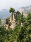 L'Albero Pendente L'Albero Pendente