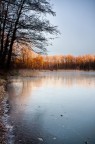 La mattina del trentuno dicembre La mattina del trentuno dicembre