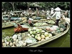 Vita sull'Acqua Vita sull'Acqua