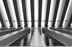 linee high-key linee high-key