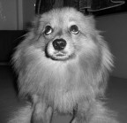 non � colpa mia....