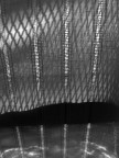 Sono molto attratta dalle geometrie, le trame, le trasparenze, il rapporto tra l'oggetto e la sua immagine. Attraverso questa immagine mi chiedo quanto il visibile possa essere significativo e rappresentativo di una realt� intima e quanto, nella forma, sia sostanza. Descrizione ermetica del progetto..... spero che l'immagine possa spiegarsi meglio di me.