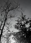 l'abbraccio nel cielo l'abbraccio nel cielo