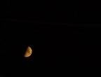 Luna d'estate Luna d'estate