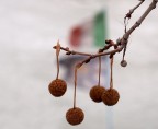 inverno italiano inverno italiano