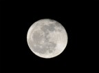 Luna Piena Luna Piena