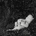 nel bosco nel bosco
