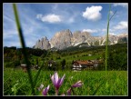 dolomiti