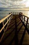 trasimeno trasimeno