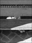 Fido