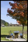 Autumn Autumn