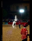 Cavallo Andaluso Cavallo Andaluso