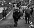 Il rientro Il rientro