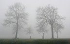 Naturalmente gotica Naturalmente gotica